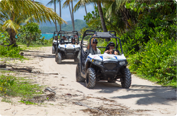 Buggy Excursions